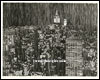New-York la Nuit